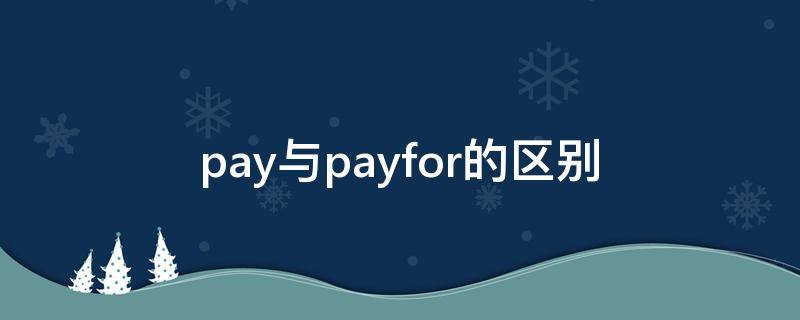pay与payfor的区别（pay pay for 区别）