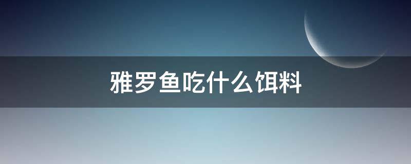 雅罗鱼吃什么饵料 钓雅罗用什么饵