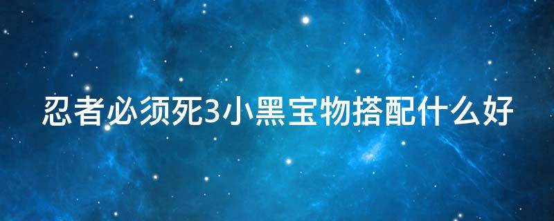 忍者必须死3小黑宝物搭配什么好 忍者必须死3小黑专属套装大全