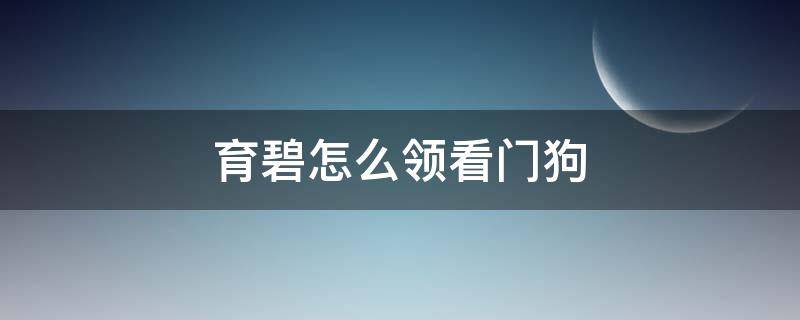 育碧怎么领看门狗 看门狗是育碧哪个工作室