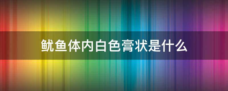 鱿鱼体内白色膏状是什么 鱿鱼体内白色的是什么