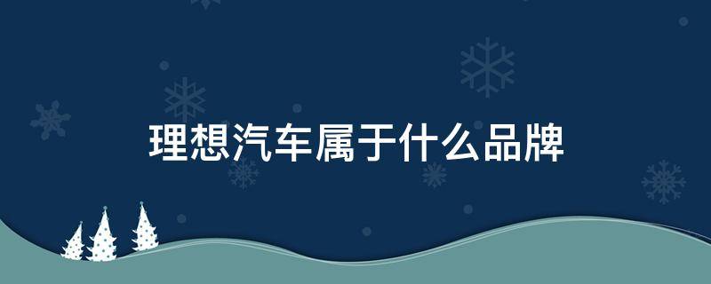 理想汽车属于什么品牌 蔚来汽车属于什么品牌