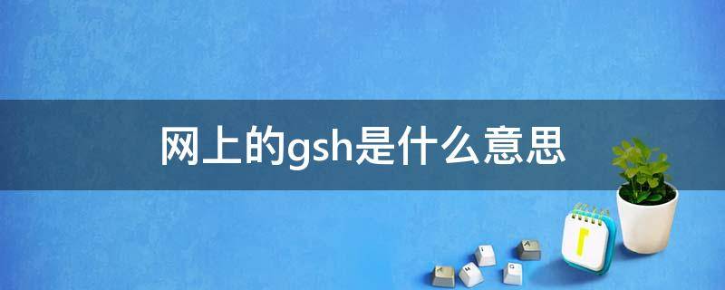 网上的gsh是什么意思（gshh含义）