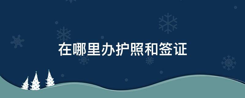 在哪里办护照和签证 护照去哪里签证