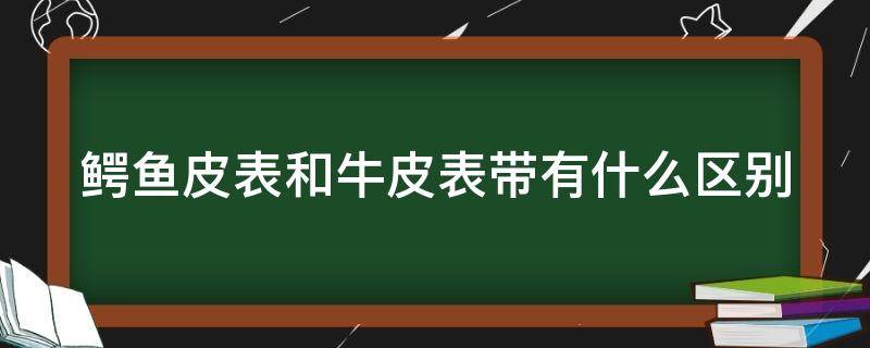 鳄鱼皮表和牛皮表带有什么区别（鳄鱼皮表带和牛皮表带优缺点）