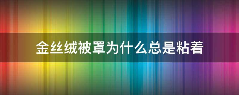 金丝绒被罩为什么总是粘着 金丝绒的衣服上面粘毛