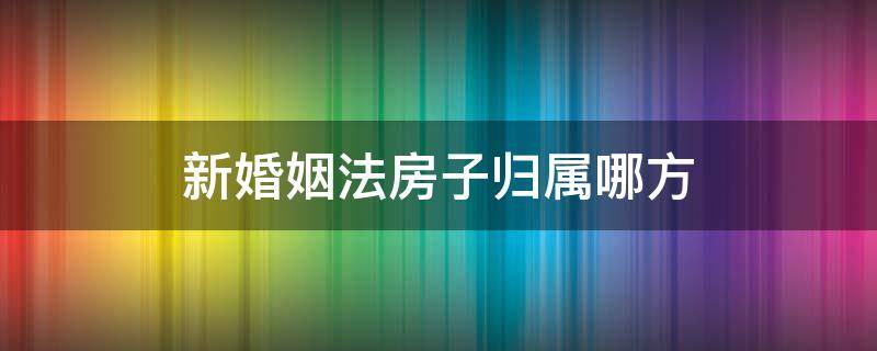 新婚姻法房子归属哪方（新婚姻法房子归属权）