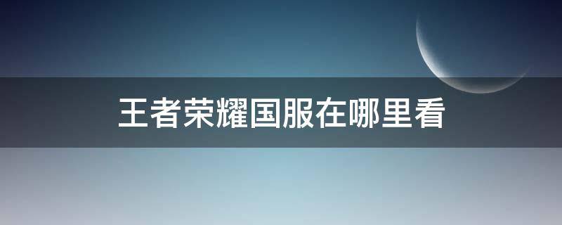 王者荣耀国服在哪里看 王者荣耀国服在哪里看排名