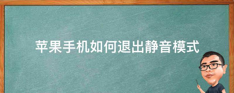 苹果手机如何退出静音模式（苹果手机如何退出静音模式图解）