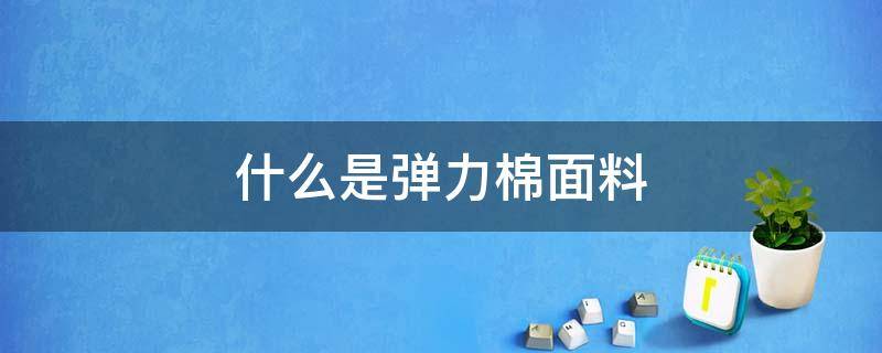 什么是弹力棉面料 什么叫弹力棉面料