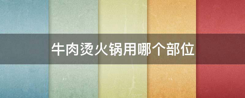 牛肉烫火锅用哪个部位（烧牛肉火锅用什么部位）