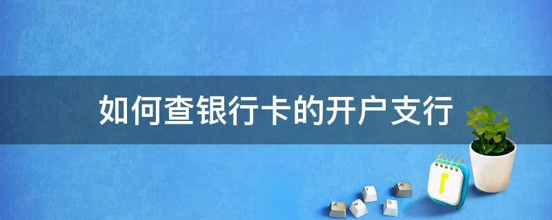 如何查银行卡的开户支行 如何查银行卡的开户支行名称