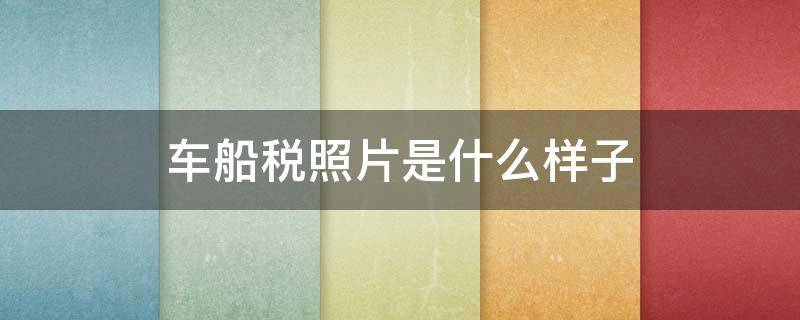 车船税照片是什么样子（车船税照片是什么样子单子）