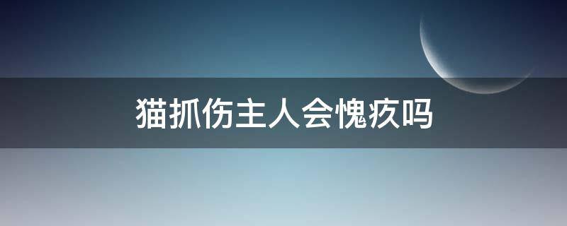 猫抓伤主人会愧疚吗 猫抓了主人会内疚吗