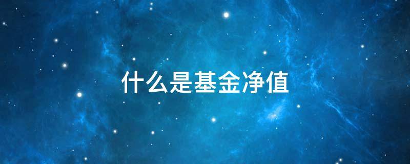什么是基金净值 什么是基金净值和估值