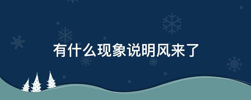 有什么现象说明风来了 风来的时候有什么现象