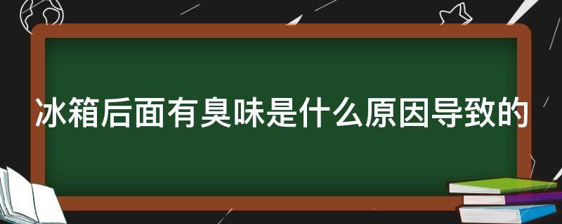 冰箱后面有臭味是什么原因导致的（冰箱后面有臭味怎么办）