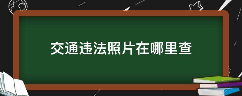 交通违法照片在哪里查（哪里可以查交通违法照片）