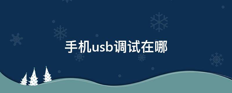 手机usb调试在哪（手机usb调试在哪里）