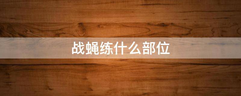 战蝇练什么部位 北京战蝇科技有限公司