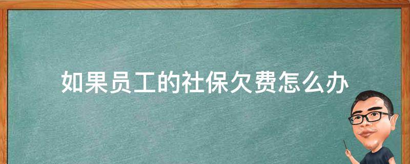 如果员工的社保欠费怎么办（公司欠费,导致员工社保欠费,怎么办）