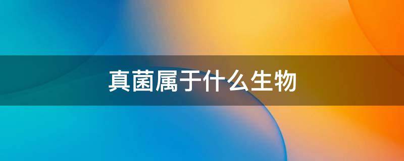 真菌属于什么生物 霉菌蘑菇等真菌属于什么生物