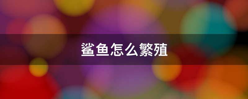 鲨鱼怎么繁殖（鲨鱼是怎样繁殖后代的）