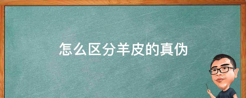 怎么区分羊皮的真伪（怎样区分羊皮的真假）