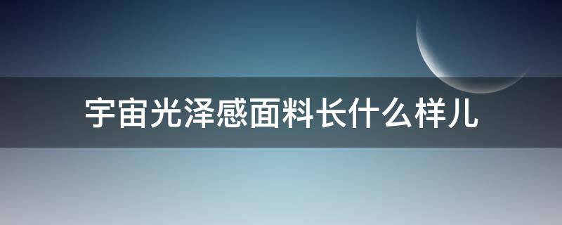 宇宙光泽感面料长什么样儿（有光泽度的面料）
