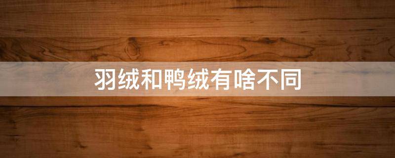 羽绒和鸭绒有啥不同 羽绒和鸭绒有什么差别