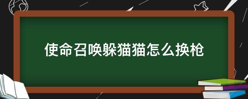 使命召唤躲猫猫怎么换枪 使命战场躲猫猫枪可以换吗