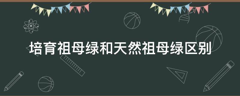 培育祖母绿和天然祖母绿区别（天然祖母绿和人造祖母绿的区别）