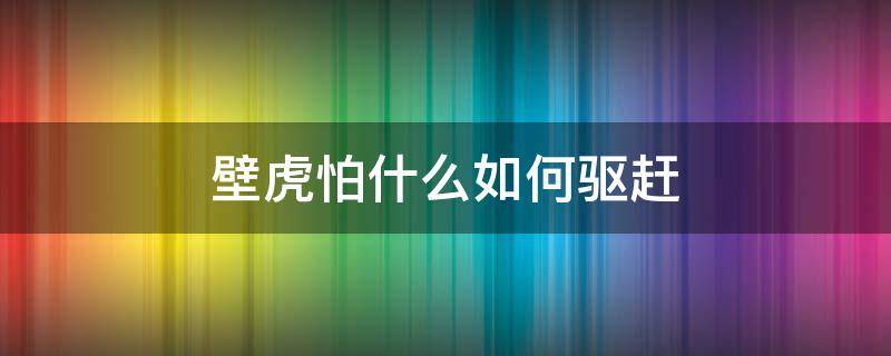 壁虎怕什么如何驱赶（害怕壁虎怎么驱赶）