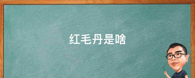 红毛丹是啥（红毛丹是啥味）