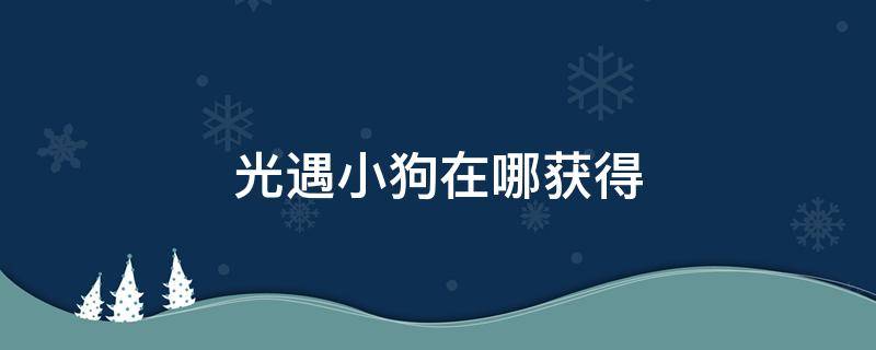光遇小狗在哪获得（光遇小狗怎么获得）