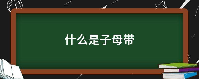 什么是子母带（母带有什么用）