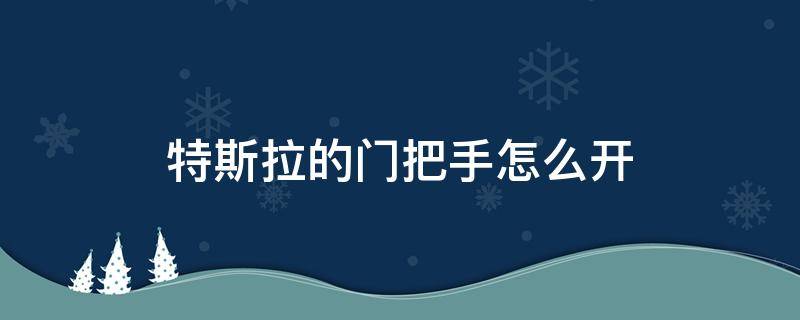 特斯拉的门把手怎么开（特斯拉没有车门把手怎么开门）