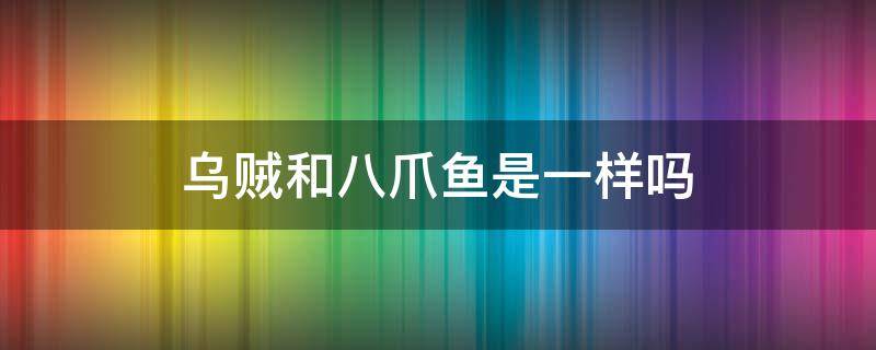 乌贼和八爪鱼是一样吗（乌贼与八爪鱼有啥区别）