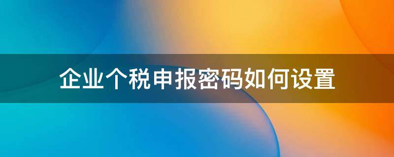 企业个税申报密码如何设置（企业个税申报密码修改）