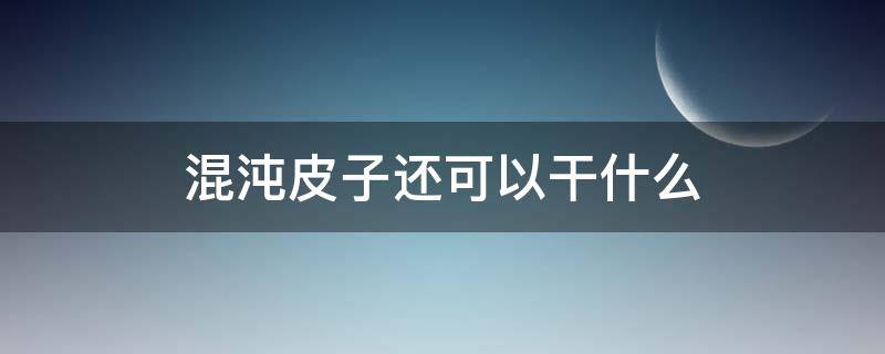 混沌皮子还可以干什么（混沌皮怎么做）