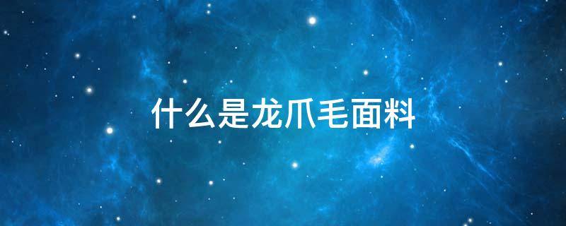 什么是龙爪毛面料（龙爪毛面料是啥）
