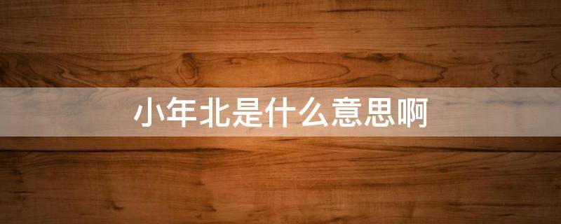 小年北是什么意思啊（小年北是指什么）