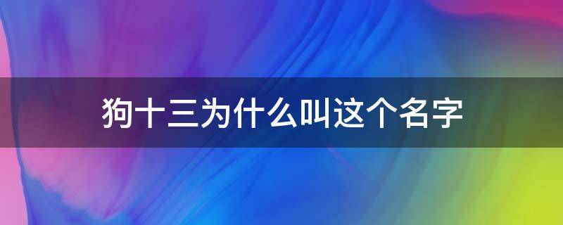 狗十三为什么叫这个名字（为什么叫狗十三的名字）
