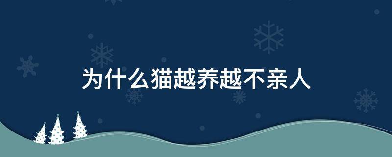 为什么猫越养越不亲人 猫咪越养越不亲人