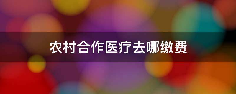 农村合作医疗去哪缴费（农村合作医疗从哪缴费）