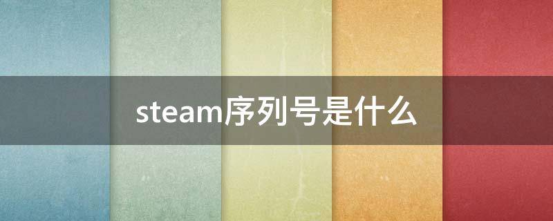 steam序列号是什么（steam序列号是什么样的）
