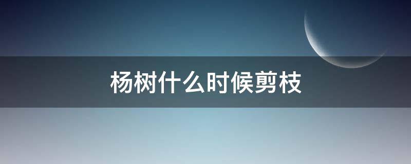 杨树什么时候剪枝 杨树什么时候剪枝视频