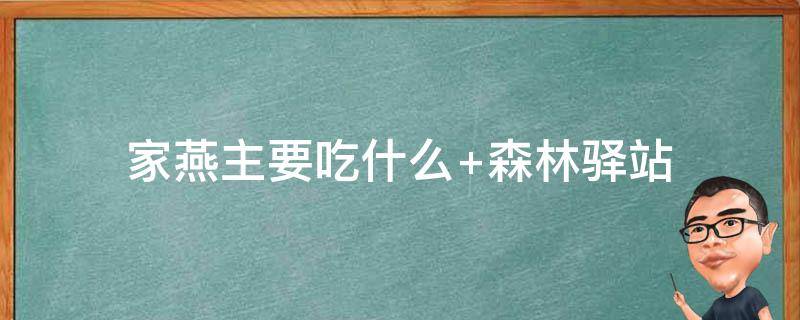 家燕主要吃什么（家燕主要吃什么食物）