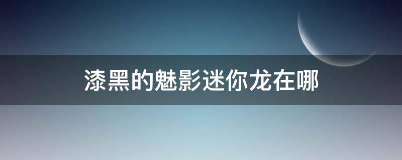 漆黑的魅影迷你龙在哪（漆黑的魅影电龙在哪里）