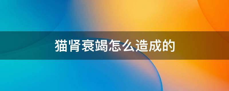 猫肾衰竭怎么造成的（猫肾衰竭前兆）